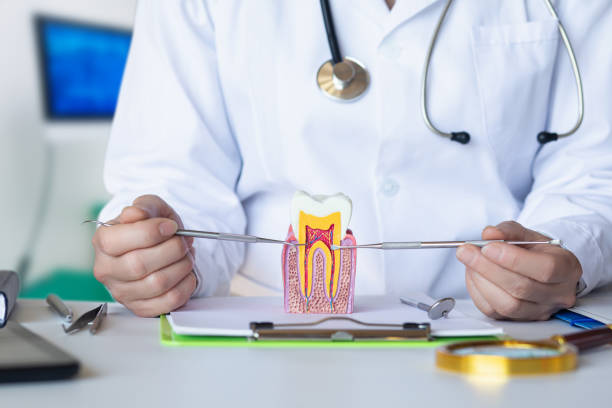 Best Broken or Cracked Tooth Emergency Dentist in Carpentersvle, IL